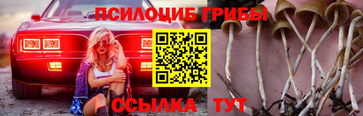 Галлюциногенные грибы Cubensis Павлово