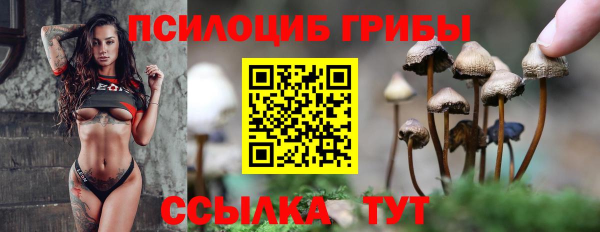 дарнет шоп  Вход с VPN  Павлово  Псилоцибиновые грибы MAGIC MUSHROOMS 